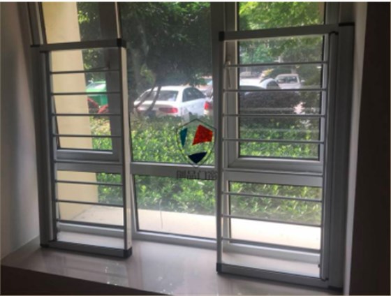 隱形防蚊紗窗門(mén) 隱形防蚊紗窗門(mén)